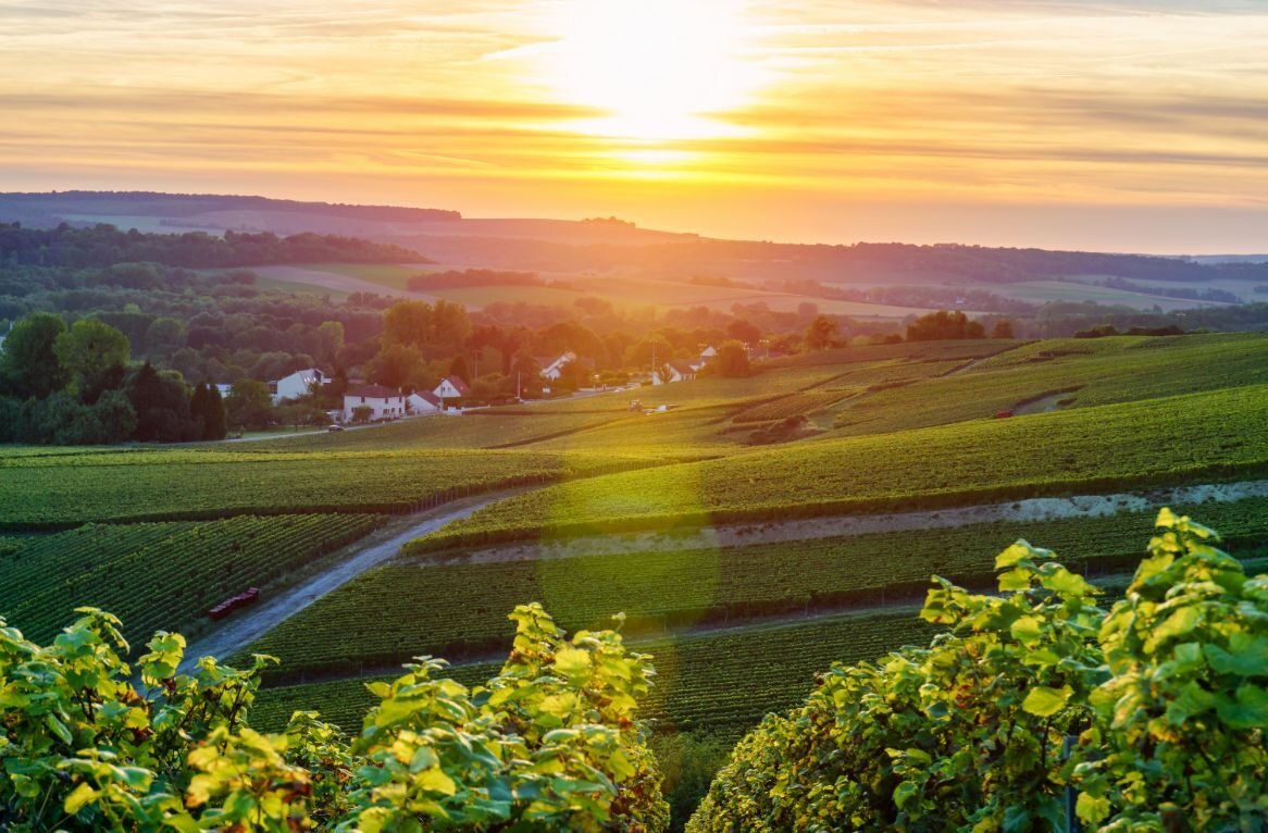 ardennen-foto-onder-tekst.jpg#asset:2096